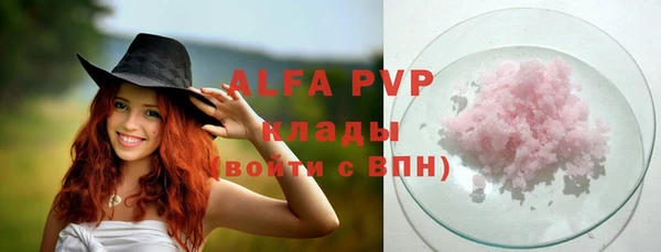 эйфоретик Инта