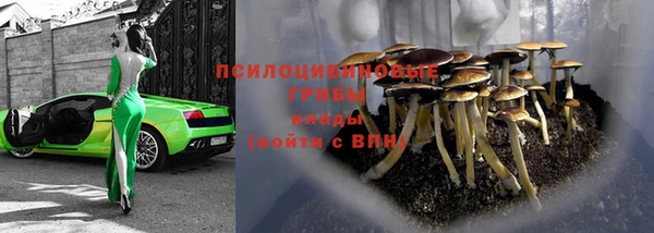 эйфоретик Инта
