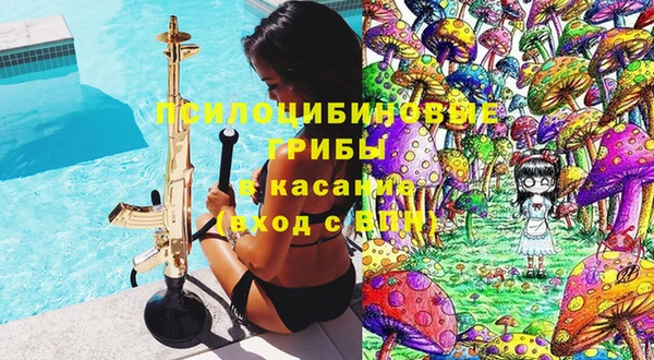 эйфоретик Инта