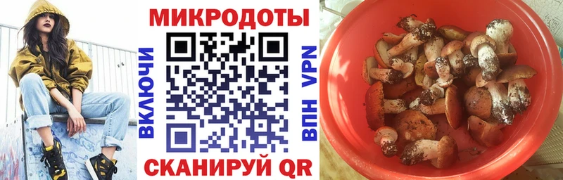 Псилоцибиновые грибы Psilocybine cubensis  Купить  Будённовск 